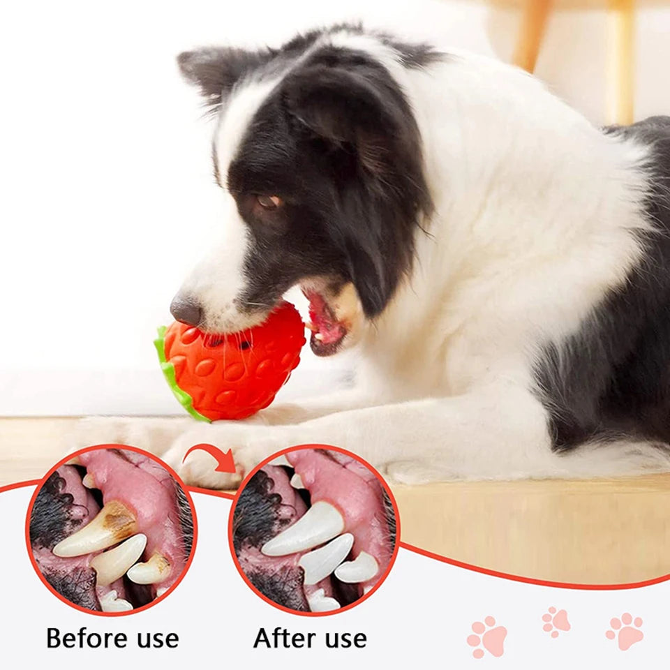 Feeder: Rubber puzzle ball for leaked food.