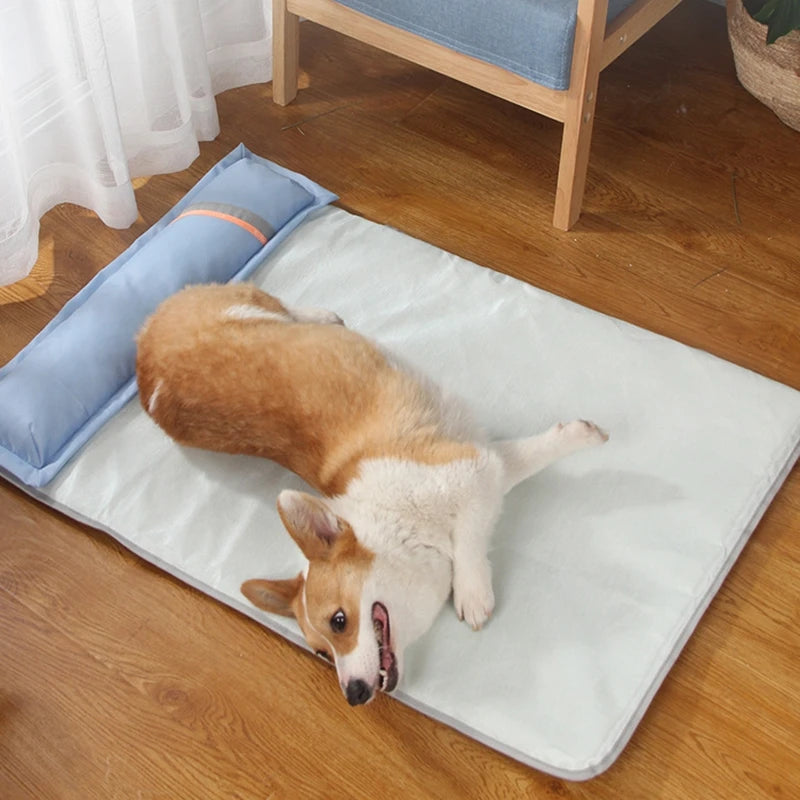 Summer pet bed: Cooling mat with pillow for dogs.