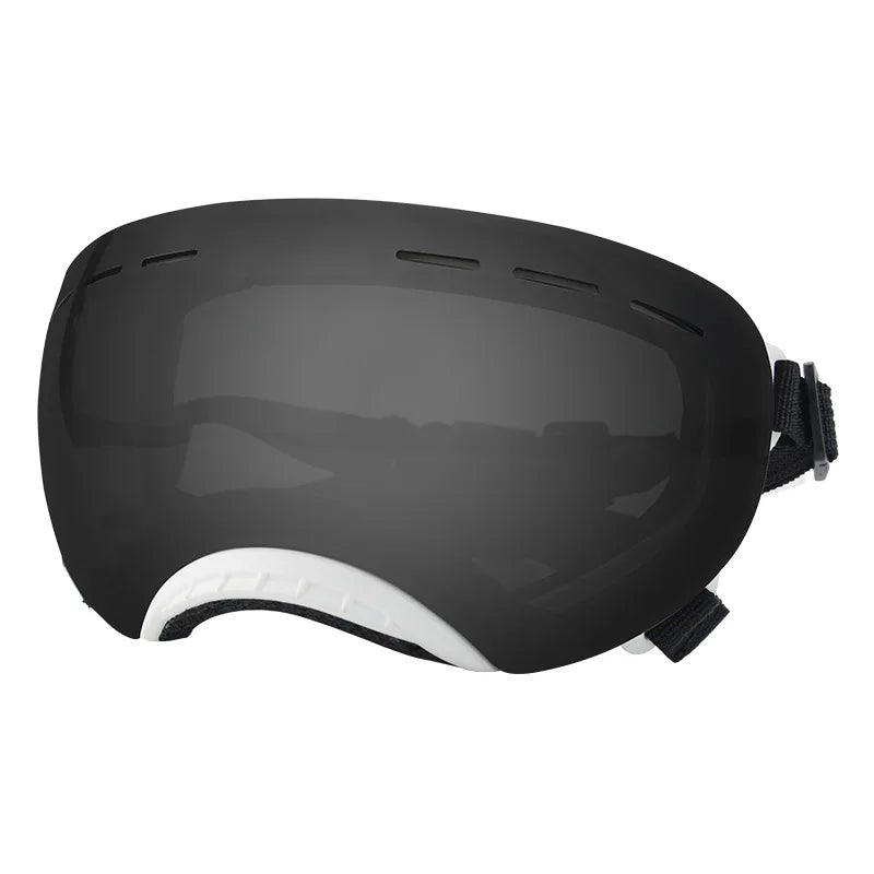Pet goggles: Wind protection for adventurous dogs.