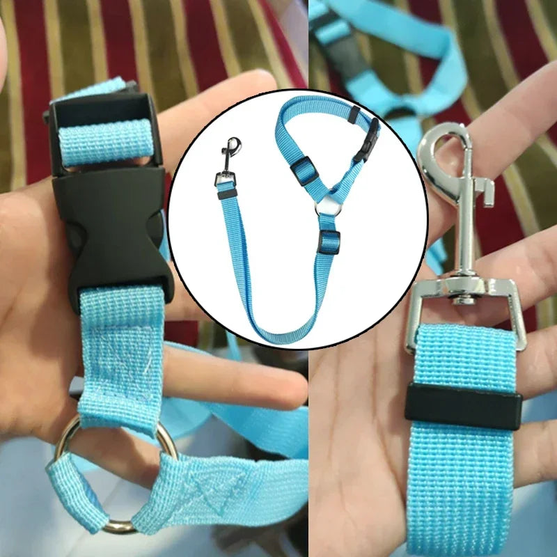 Two-in-one pet car seat belt: Adjustable, backseat safety for dogs.