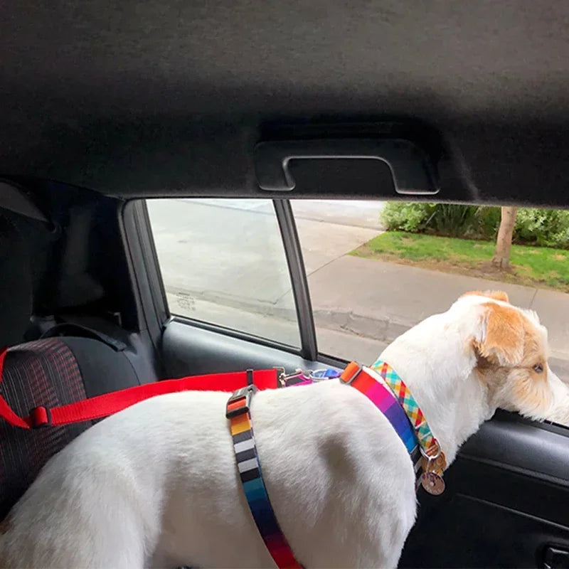 Two-in-one pet car seat belt: Adjustable, backseat safety for dogs.