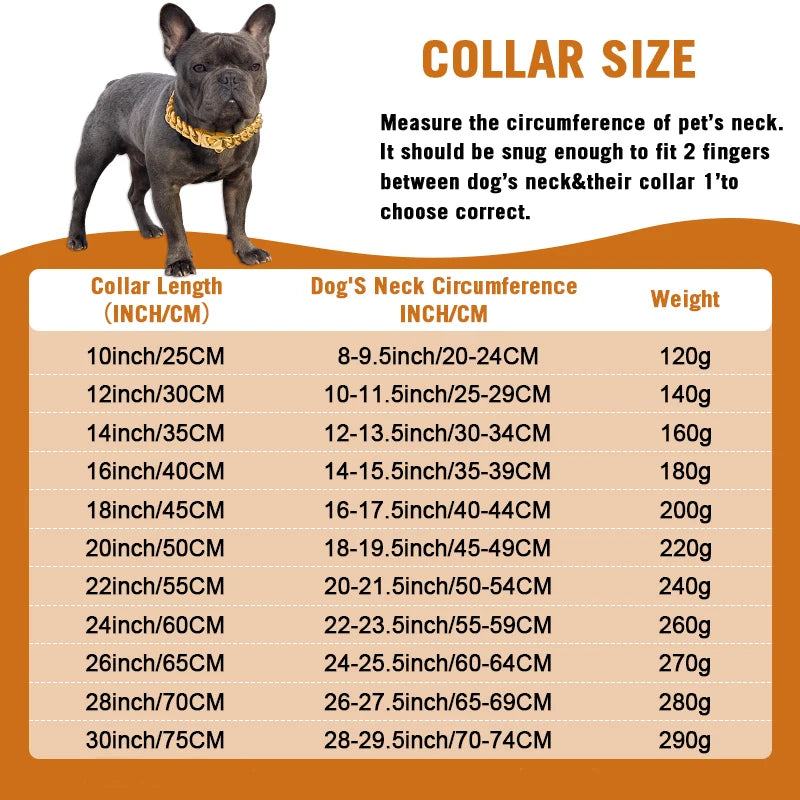 Gold Dog Collar: Add Glamour to Your Pet's Accessories!