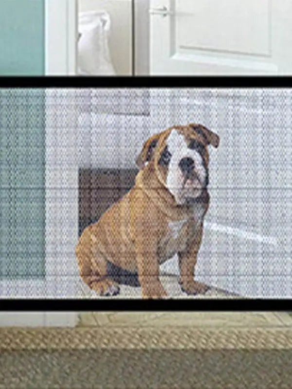 Safety Dog Fence Gate: Ingenious Mesh Magic Gate.