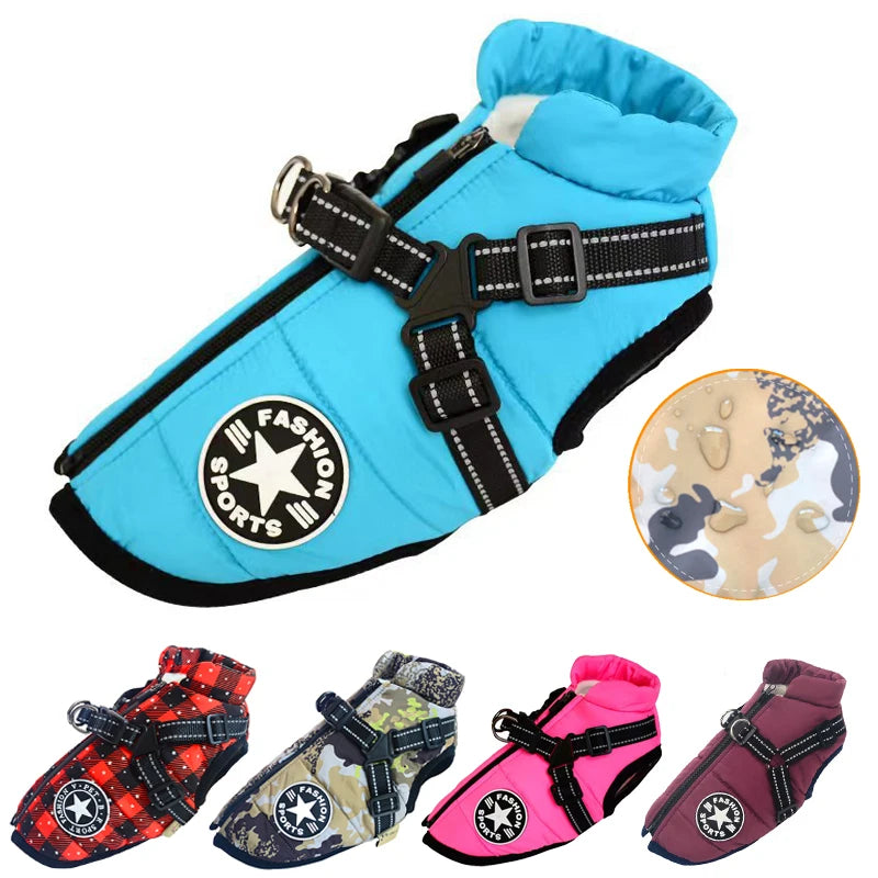 Big Dog Jacket
