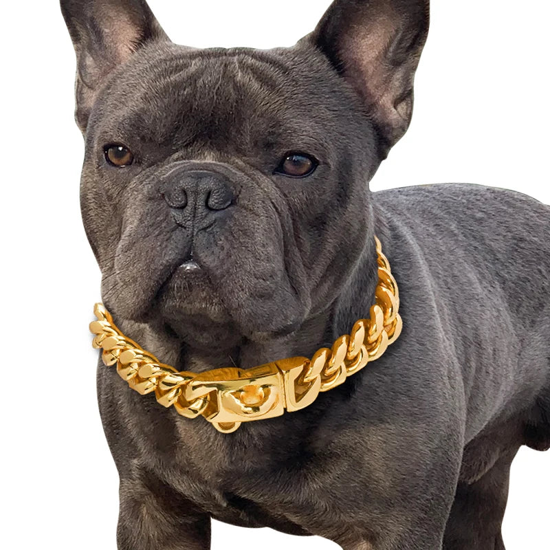 Gold Dog Collar: Add Glamour to Your Pet's Accessories!
