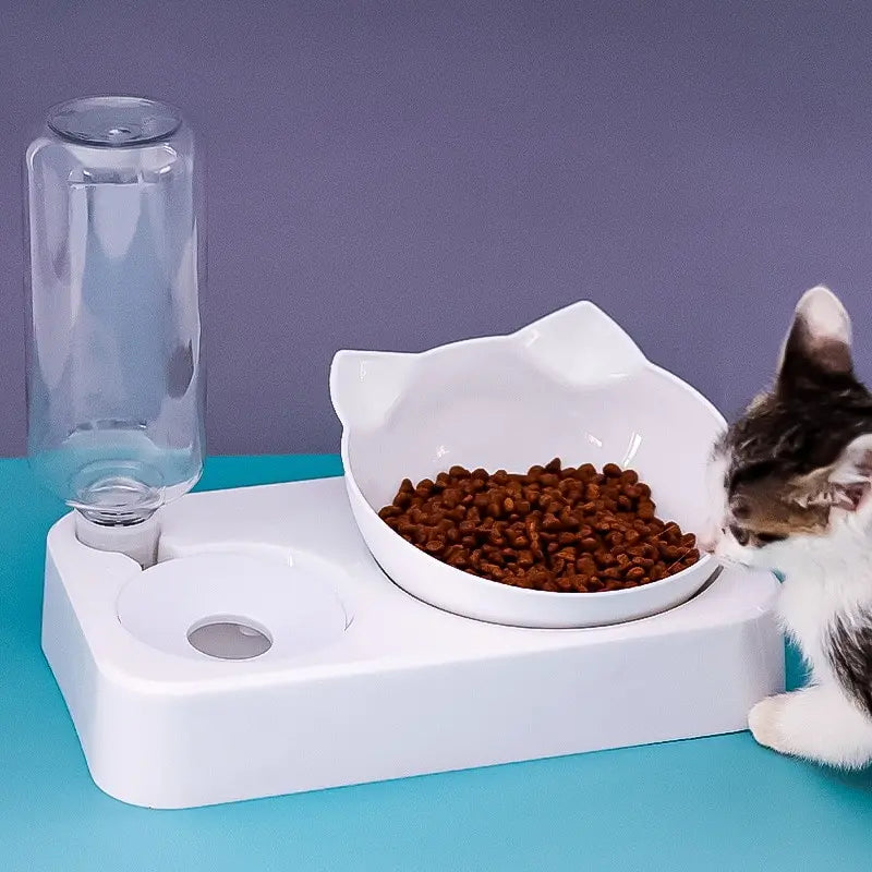 Ergonomic Pet Bowl with Automatic Feeder