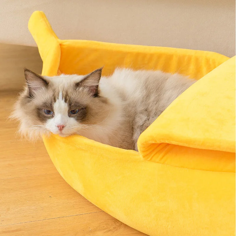 Banana-Shaped Dog House