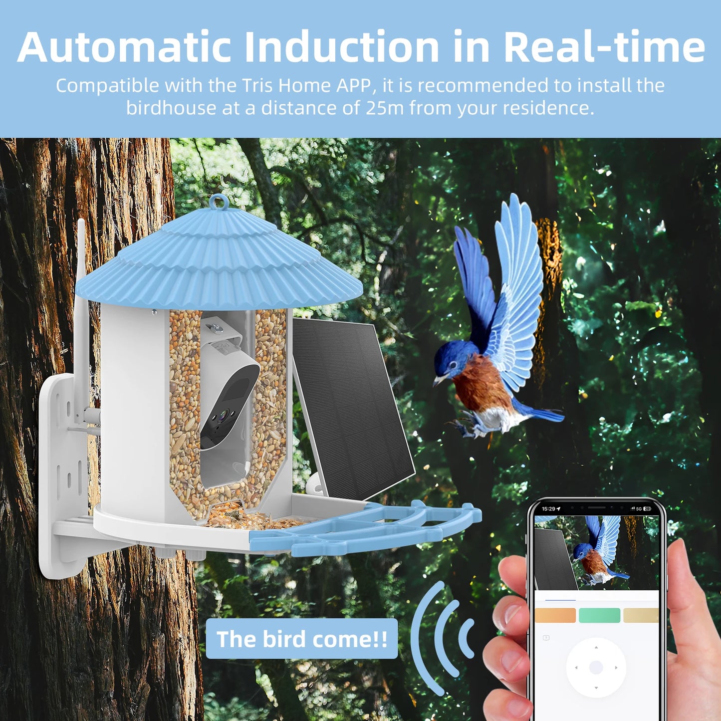 Wireless Outdoor Bird Feeder: Solar-powered, app-controlled camera feeder.