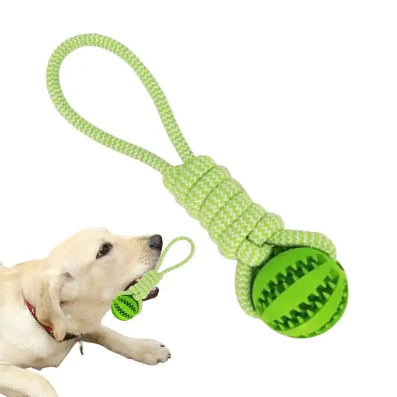 Tug Toy Ball: Interactive fetch ball, rope tug, for grassland or home.