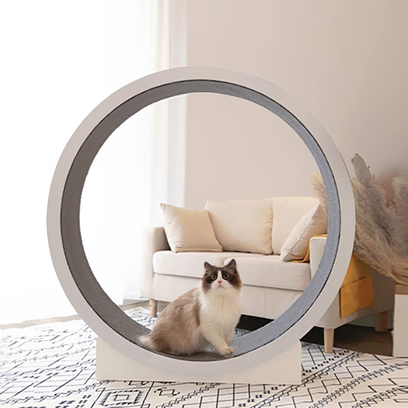 Rolling Cat Climbing Frame: Engaging Exercise for Your Cat!