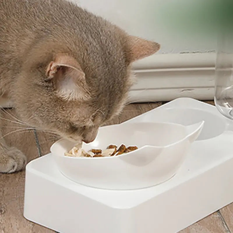Ergonomic Pet Bowl with Automatic Feeder