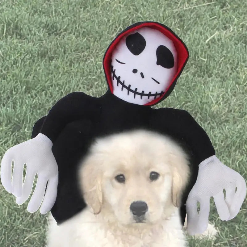 Funny Pet Halloween Costume: Cosplay Dress Up, Spider Pumpkin Vest