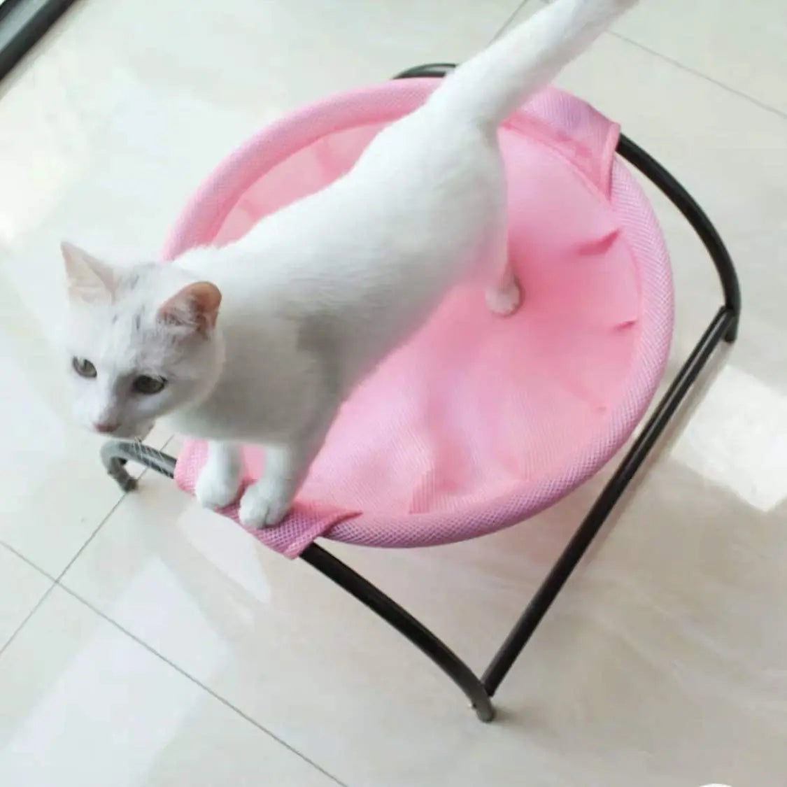 New Summer Pet Cat Bed: Washable Hammock, Comfortable Breathable Lounger