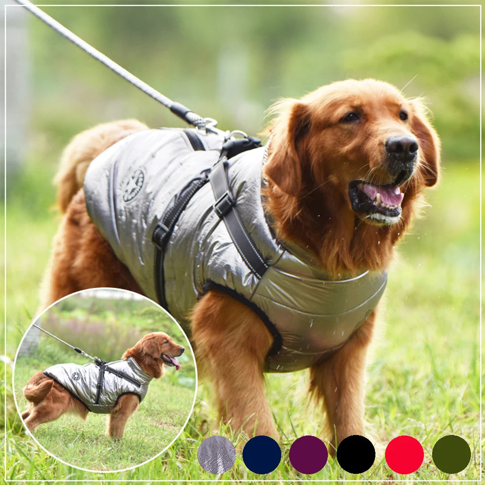 Big Dog Jacket