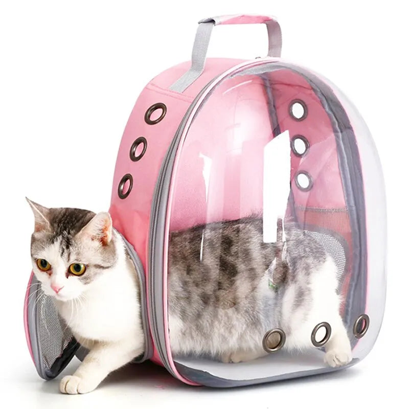 Transparent Pet Backpack: Travel in Style with Your Pet!