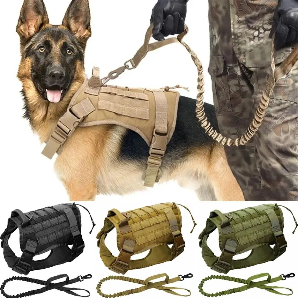 Tactical dog vest: Light harness for pets.