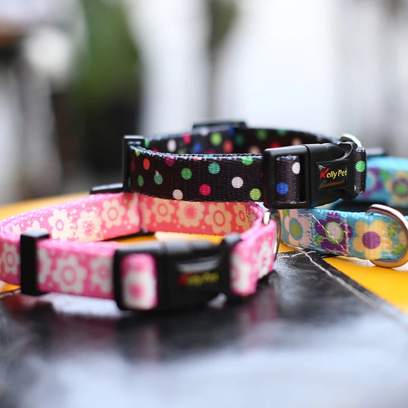 Dog Collar: Safety snap adjustable pet collar for dogs.