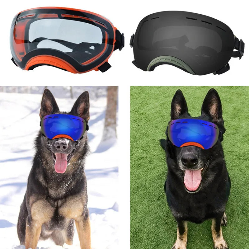 Pet goggles: Wind protection for adventurous dogs.