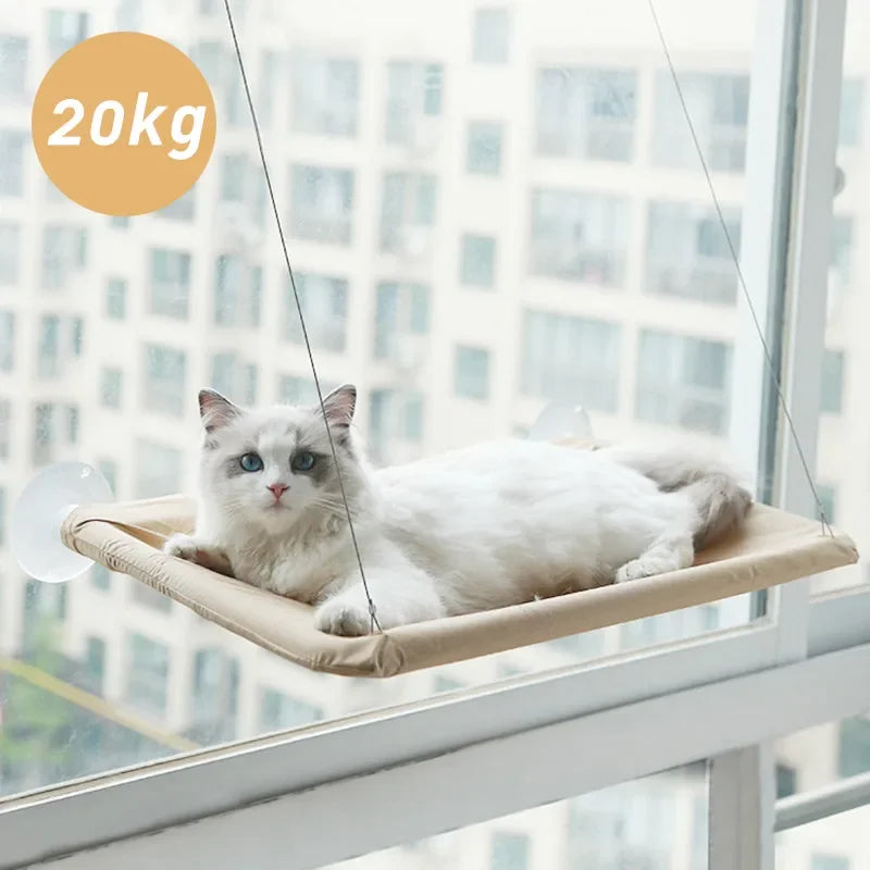 Cat Hammock Bed: Give Your Cat a Cozy Spot to Rest!