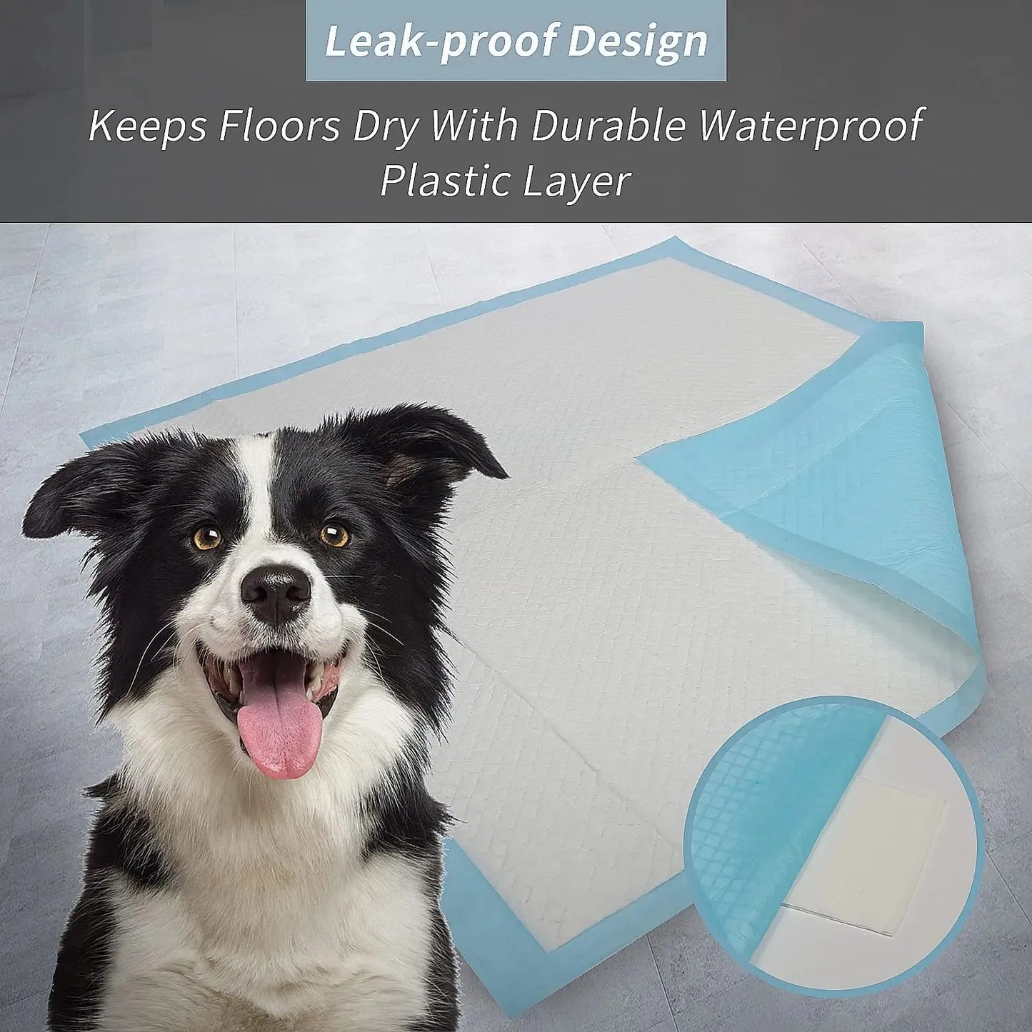 Super Absorbent Diapers: Keep Your Pet Clean and Dry!