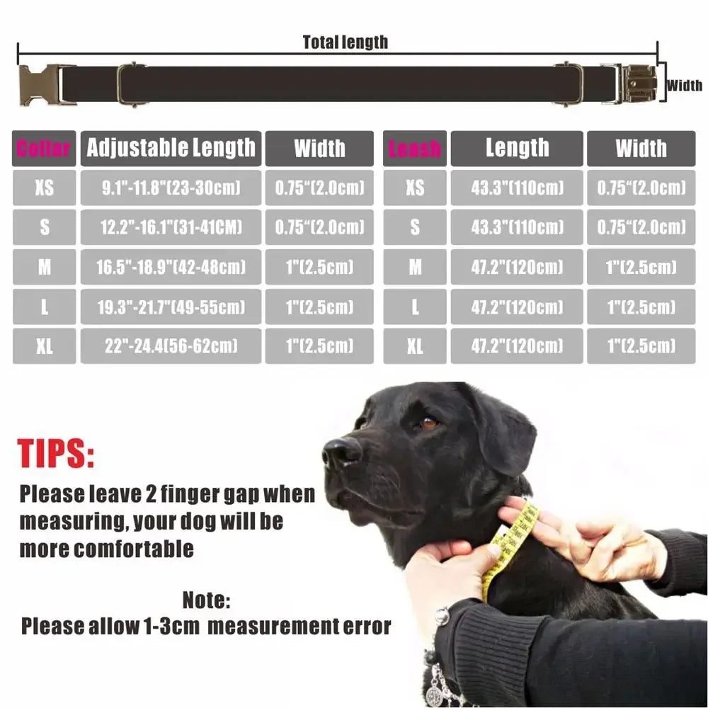 Dog Show Leads Set: Safety, Designer Collars, Fabric Cat Collar