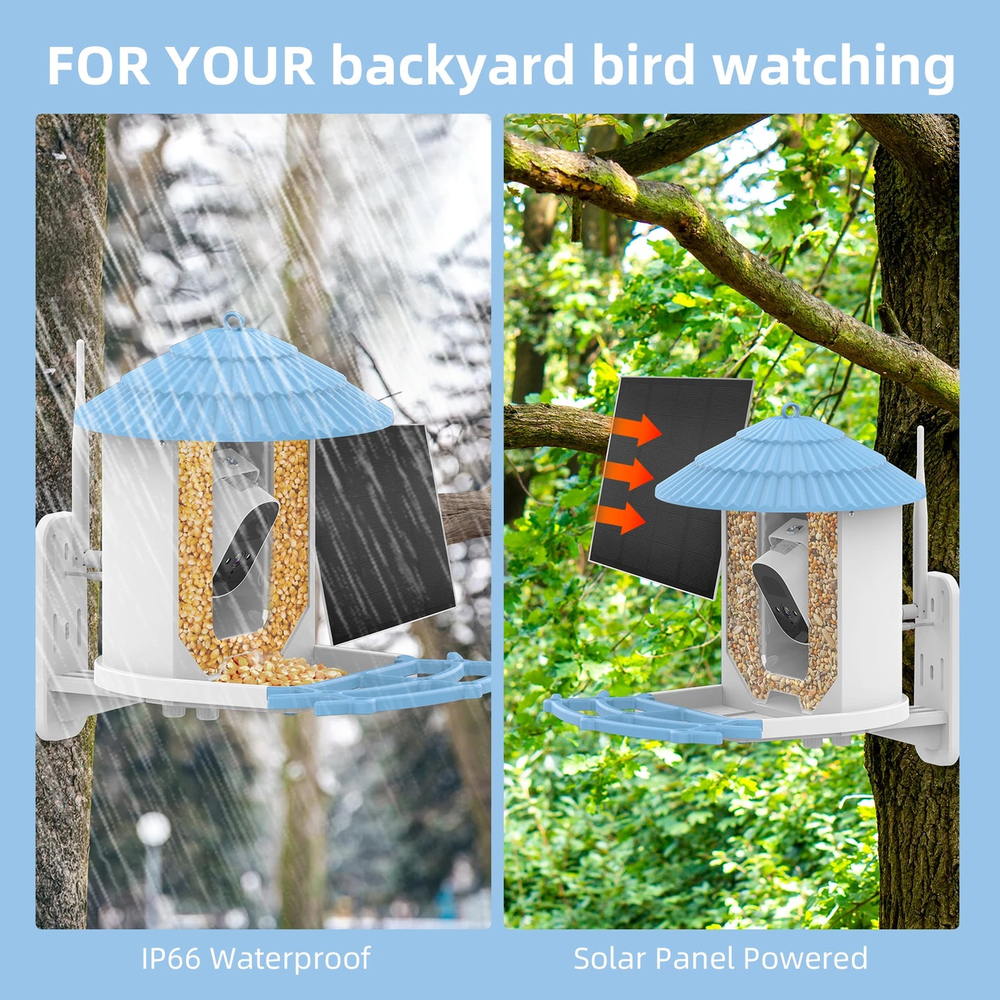 Wireless Outdoor Bird Feeder: Solar-powered, app-controlled camera feeder.