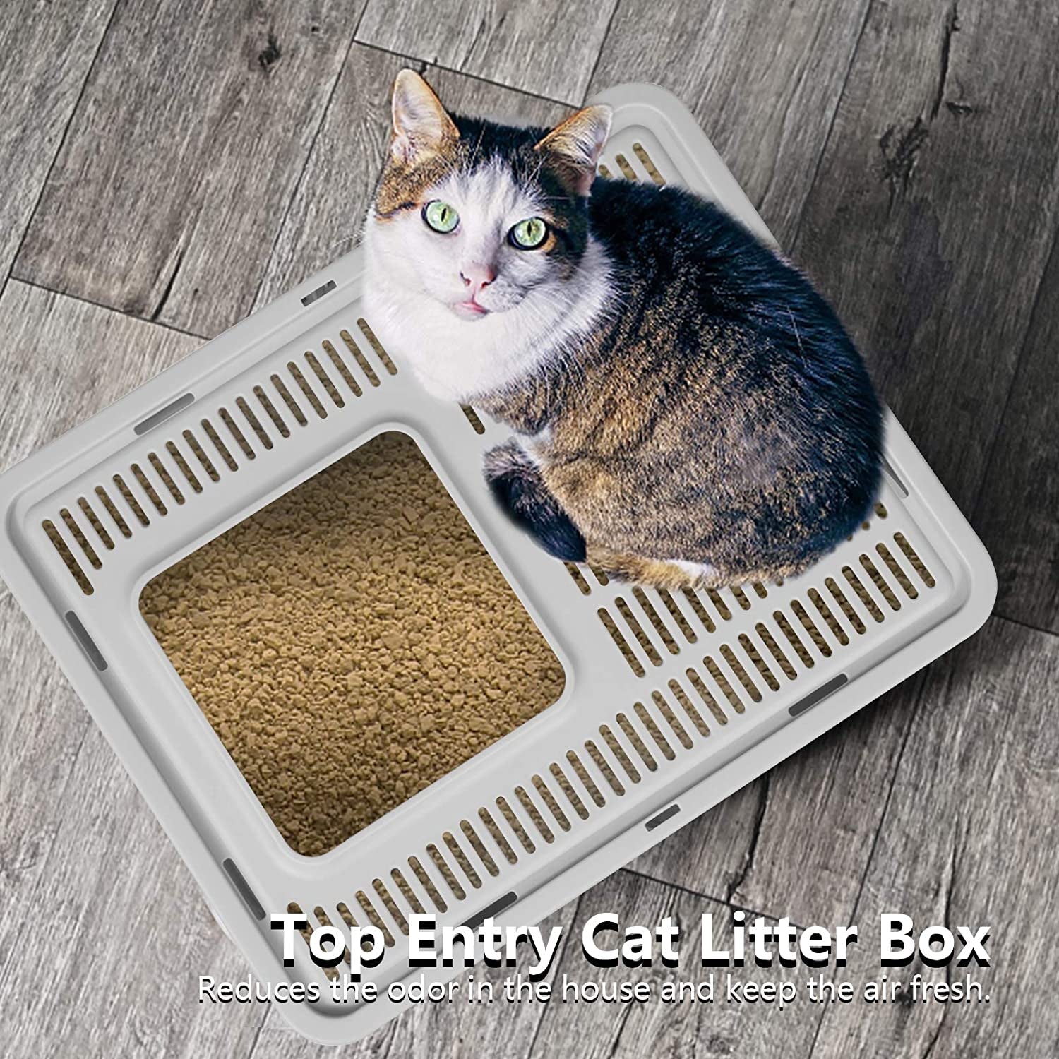 Large Top Entry Cat Litter Box: Foldable, Covered, Anti-Splashing (Gray)