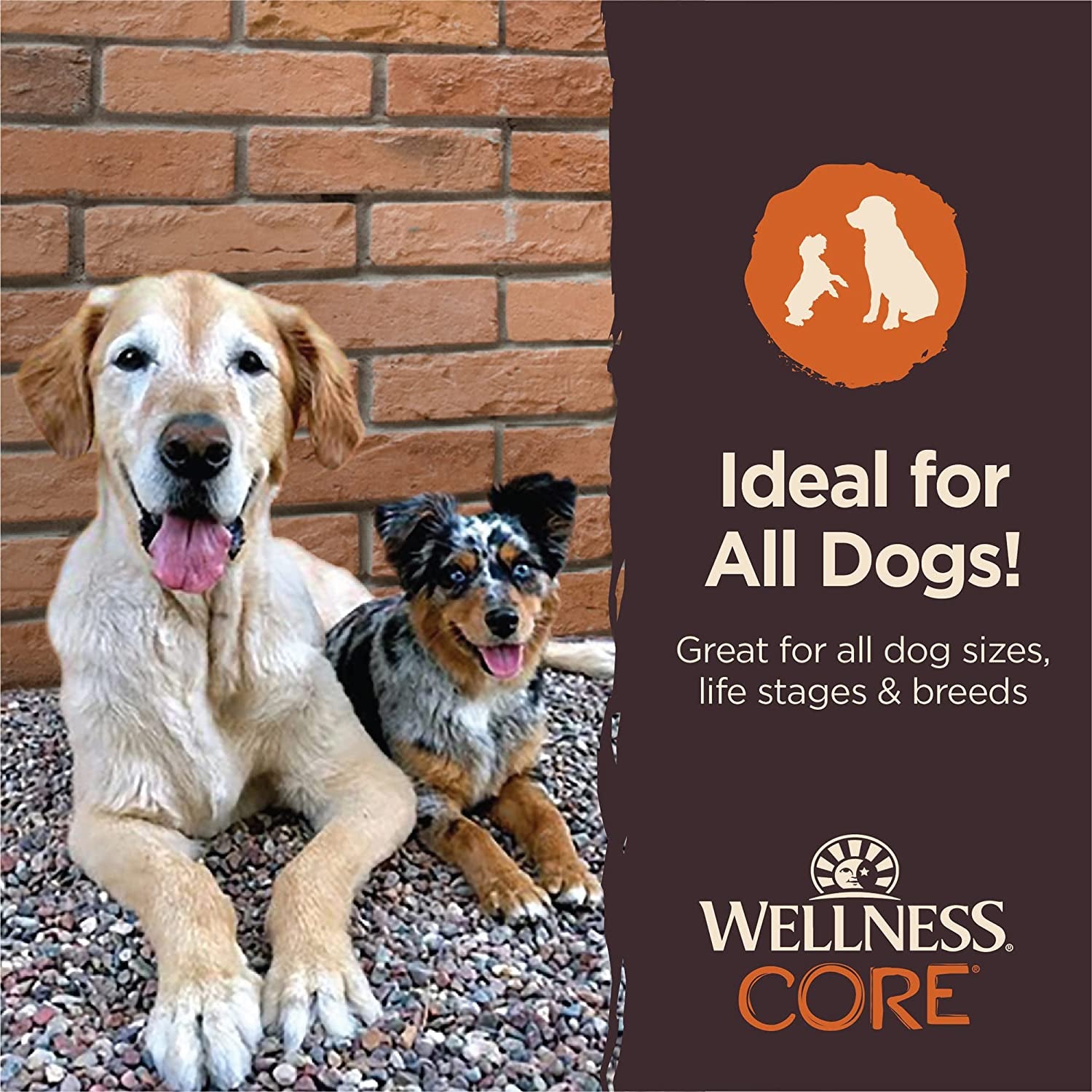 CORE Wellness Power Packed Dog Treats: Tender Jerky, Chicken & Lamb Recipe, 4-Ounce Bag