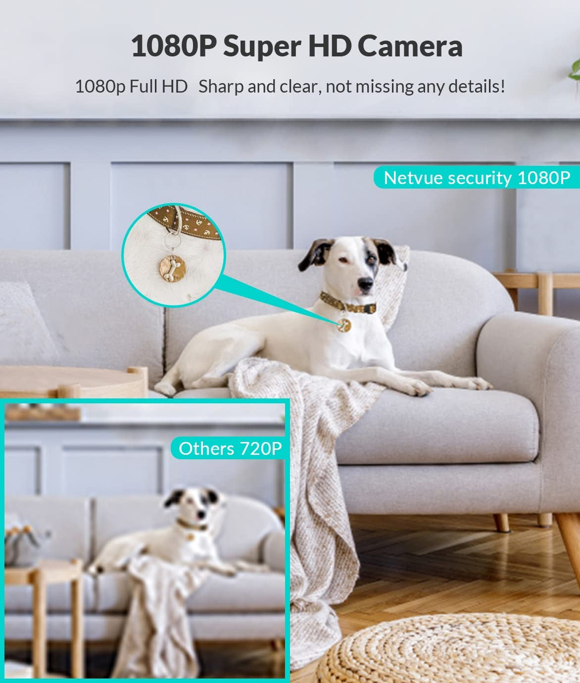 Indoor Pet Camera: 1080P FHD, Wifi, 2-Way Audio, Night Vision