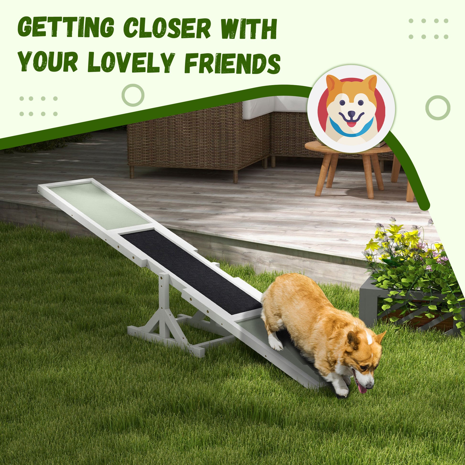 Pet Seesaw: Wooden Dog Training Equipment for Active Play