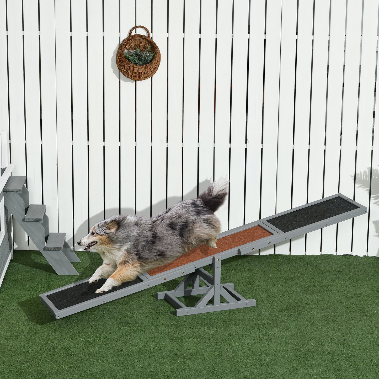 Pet Seesaw: Wooden Dog Training Equipment for Active Play