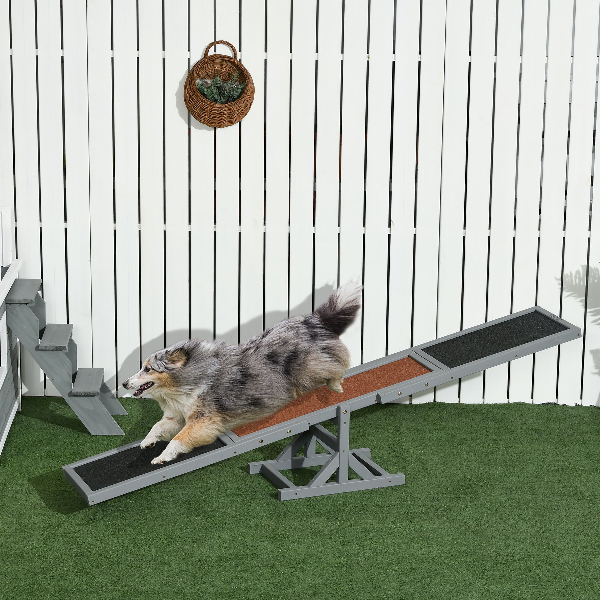 Pet Seesaw: Wooden Dog Training Equipment for Active Play