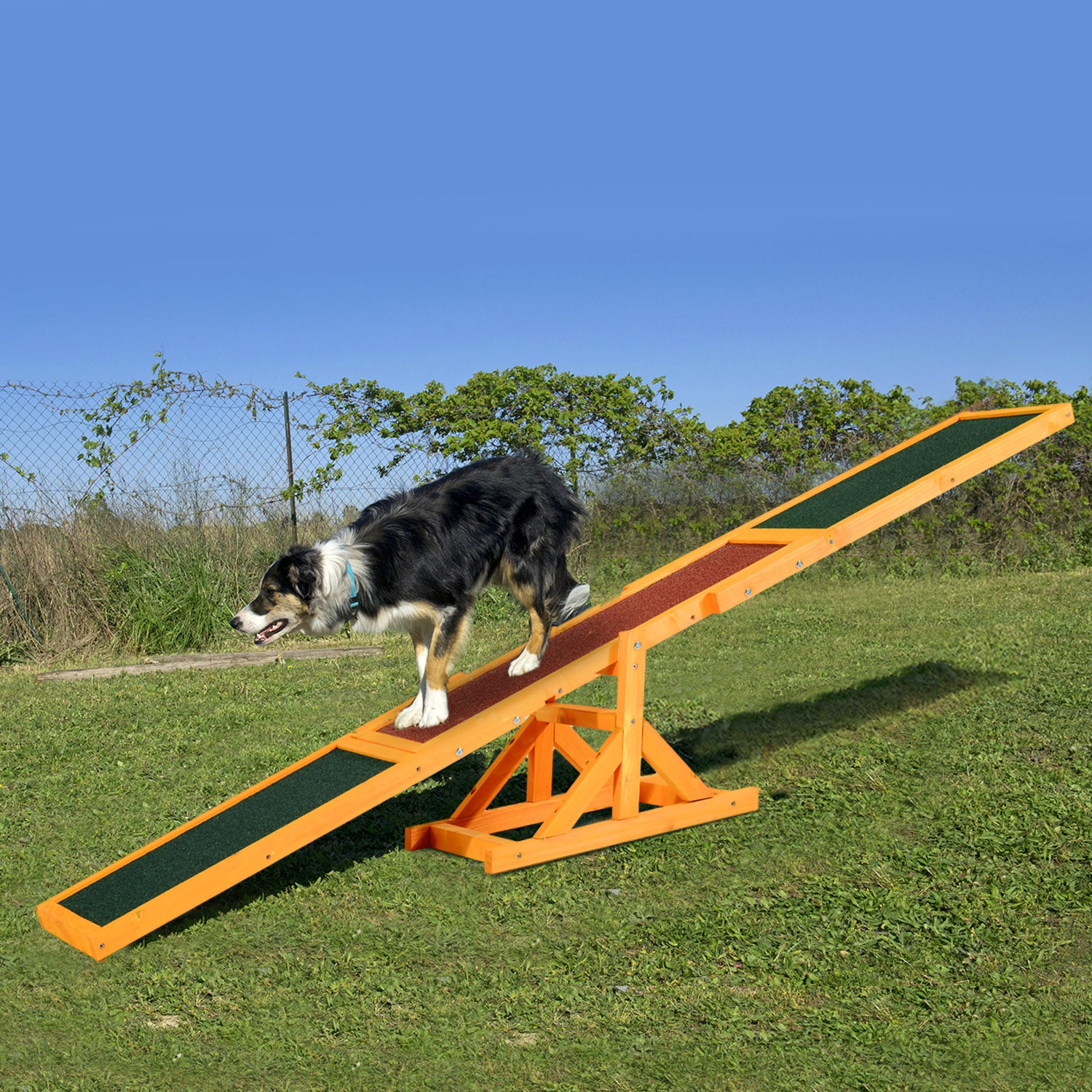 Pet Seesaw: Wooden Dog Training Equipment for Active Play
