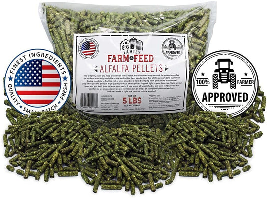Alfalfa Hay Food 