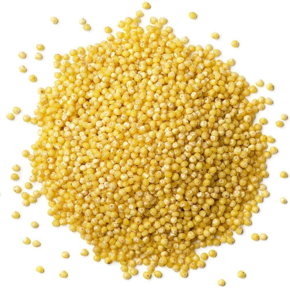 Organic Hulled Millet, 10 Pounds – Whole Grain Seeds, Non-Gmo, Kosher, Raw, Bulk, Product of the USA