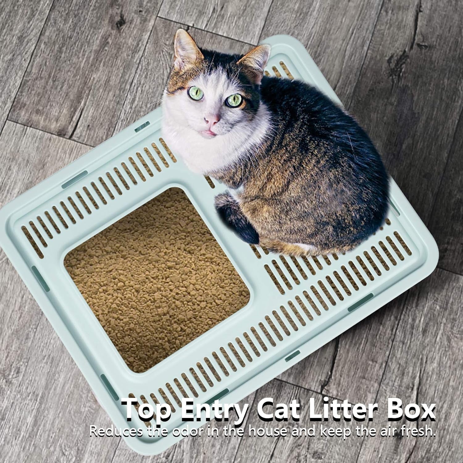Large Top Entry Cat Litter Box: Foldable, Covered, Anti-Splashing (Blue)