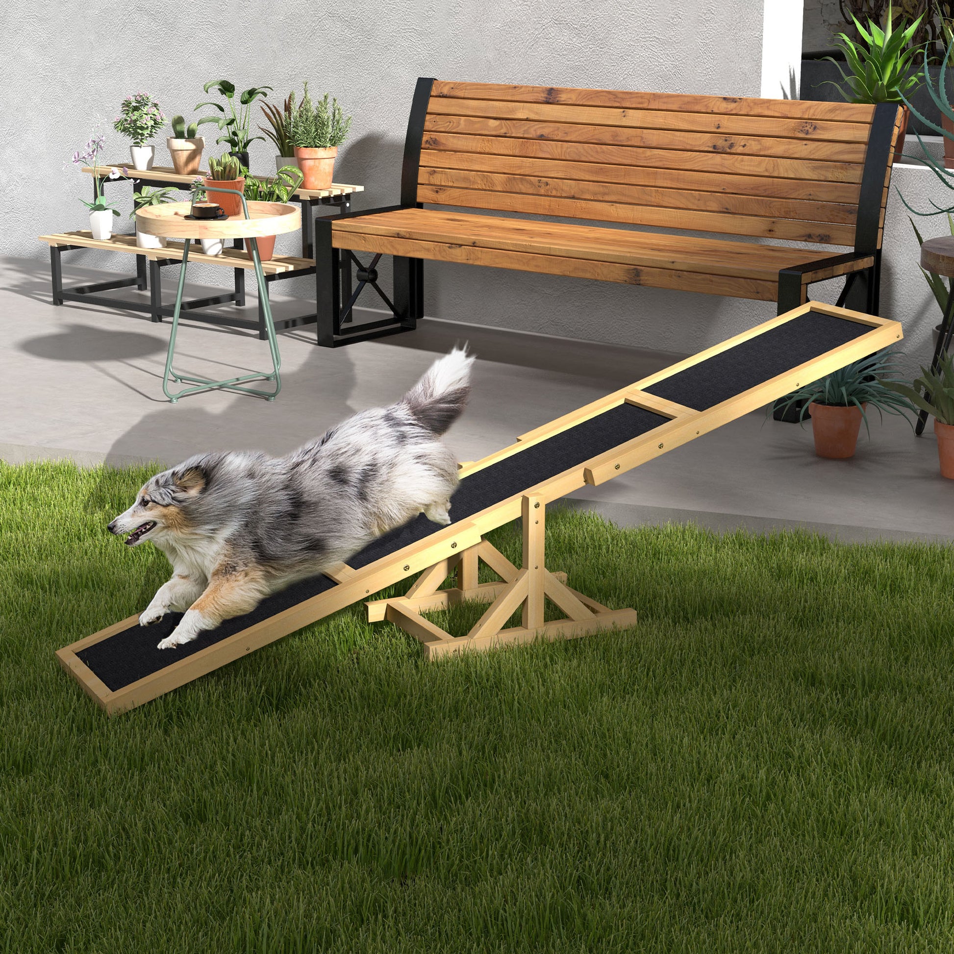 Pet Seesaw: Wooden Dog Training Equipment for Active Play