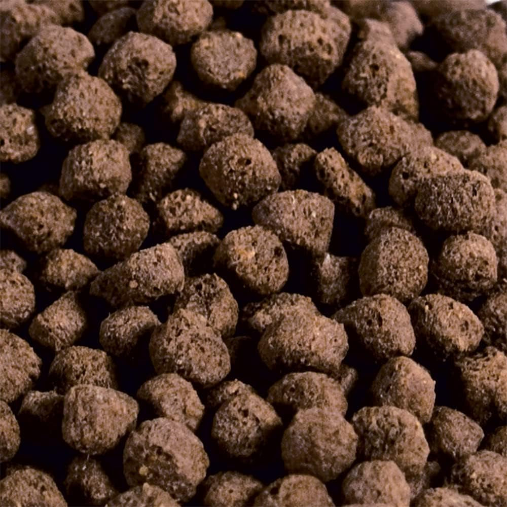 Spring & Fall Wheat Germ Fish Food: Premium Cold Weather Floating Pellets for Koi & Goldfish, 5 Lbs
