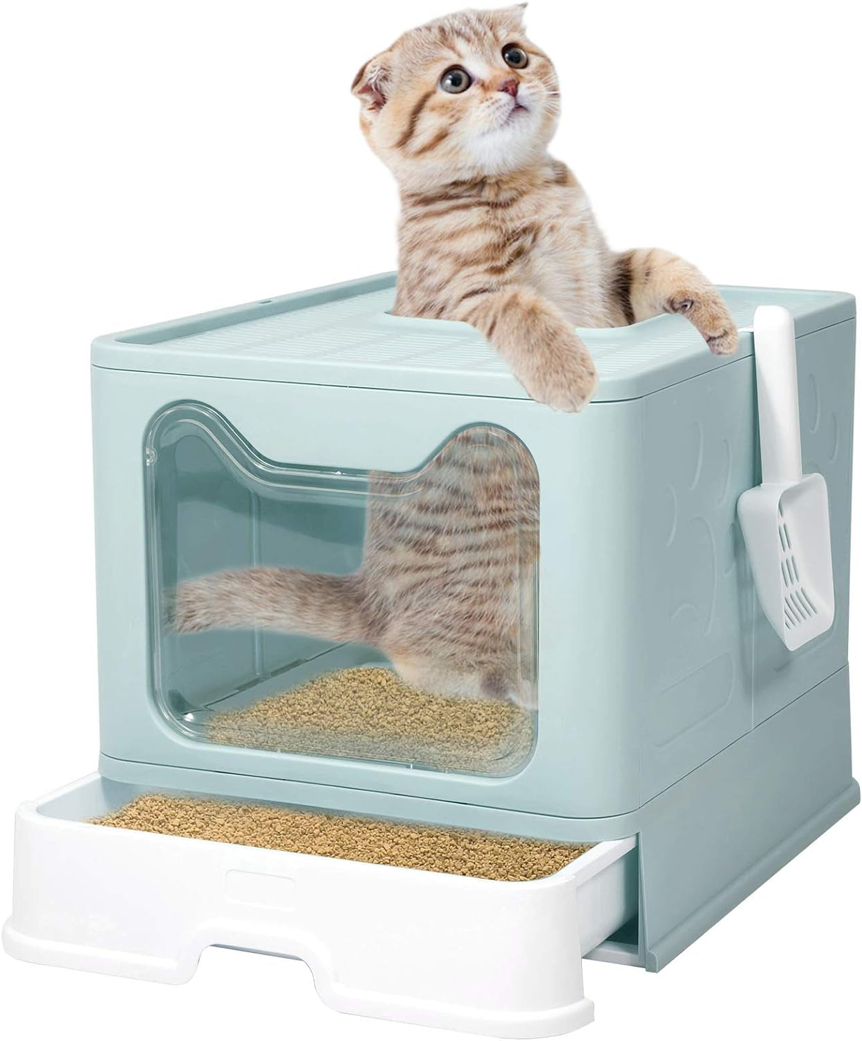 Large Top Entry Cat Litter Box: Foldable, Covered, Anti-Splashing (Blue)