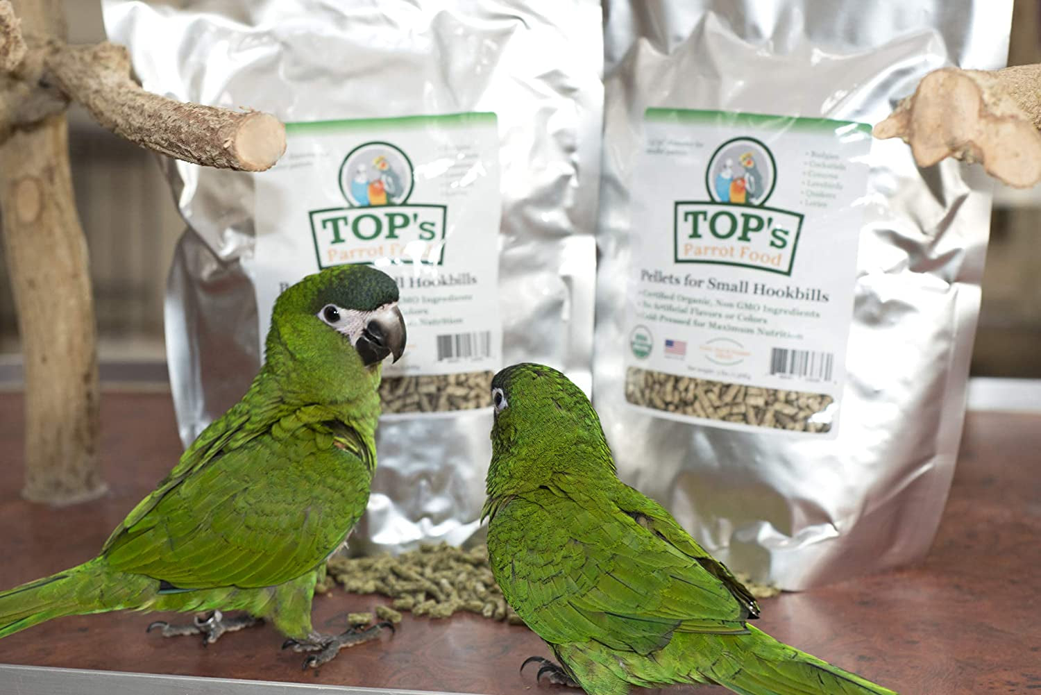 Best Parrotlet Food