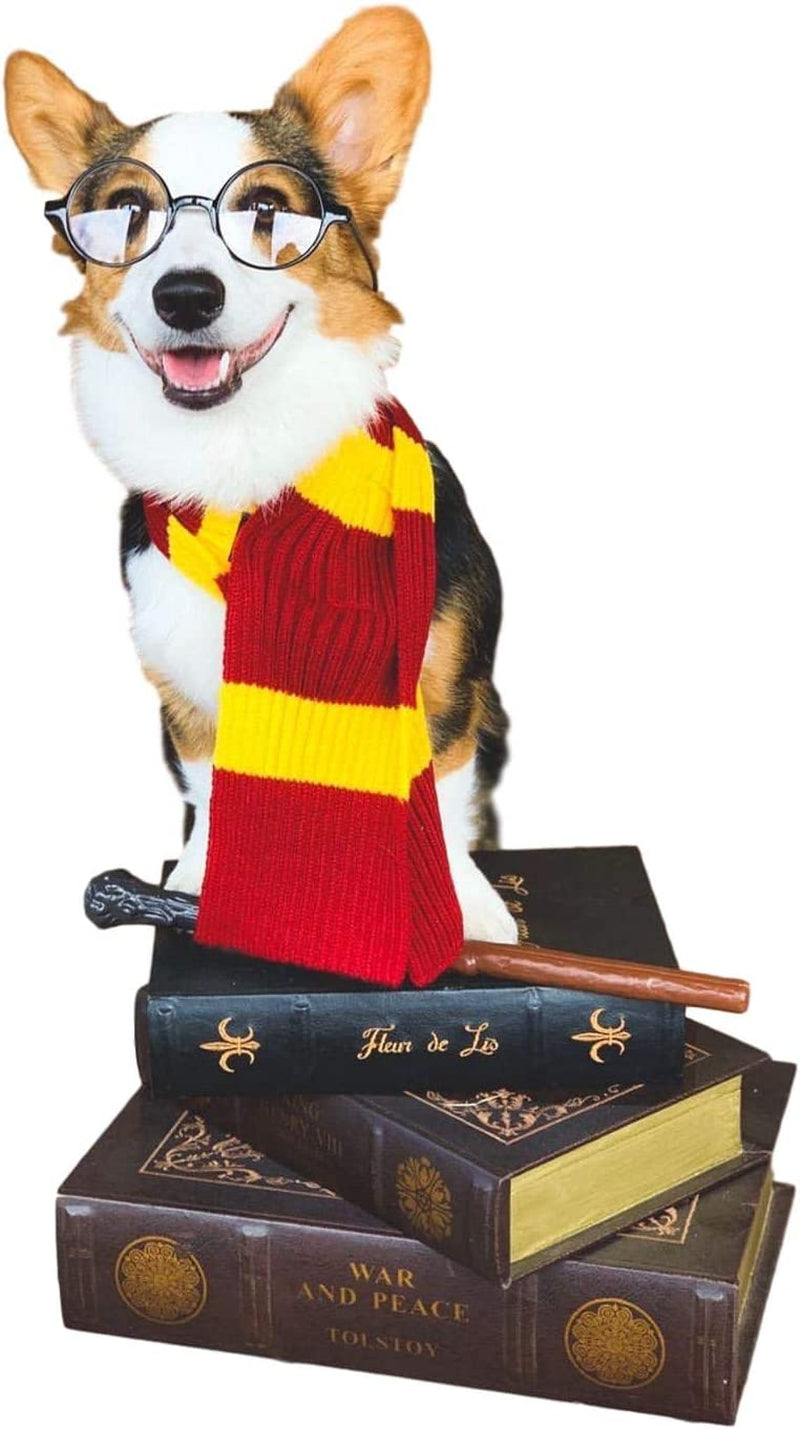 Harry Potter Dog Costume: French Lab Clothes, Halloween Cosplay, 