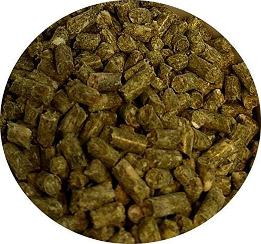 Best Parrotlet Food