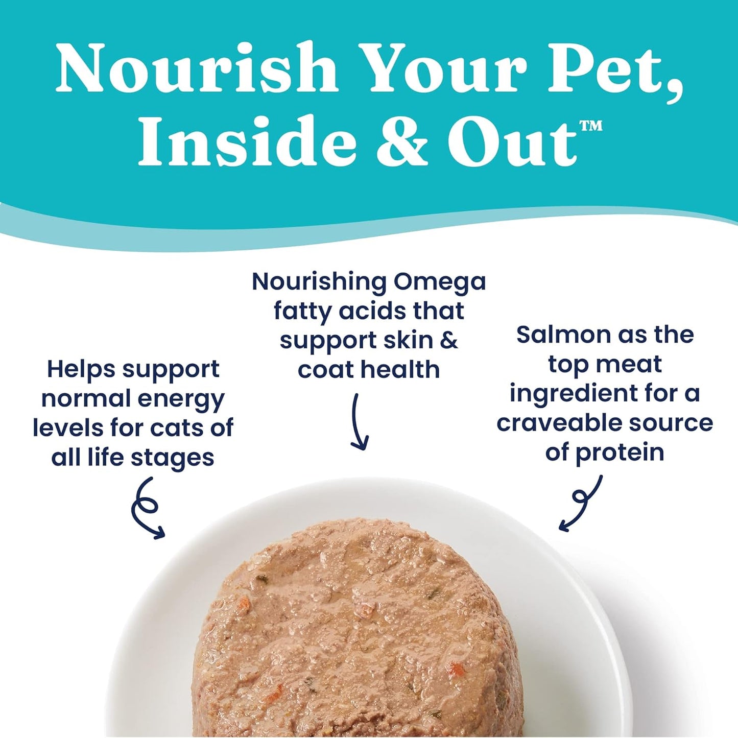 Wet Cat Food Pate for Adult & Senior Cats: Real Salmon & Coconut Oil, Promotes Healthy Digestion, Skin, Coat & Sensitive Stomach - 24Ct/3Oz Can